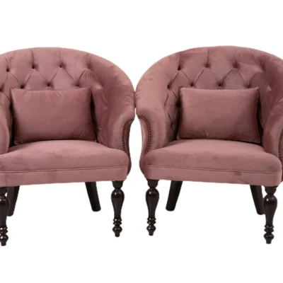 Swan Chair