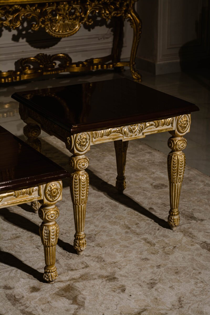 this image is for Haleena Centre Table Set